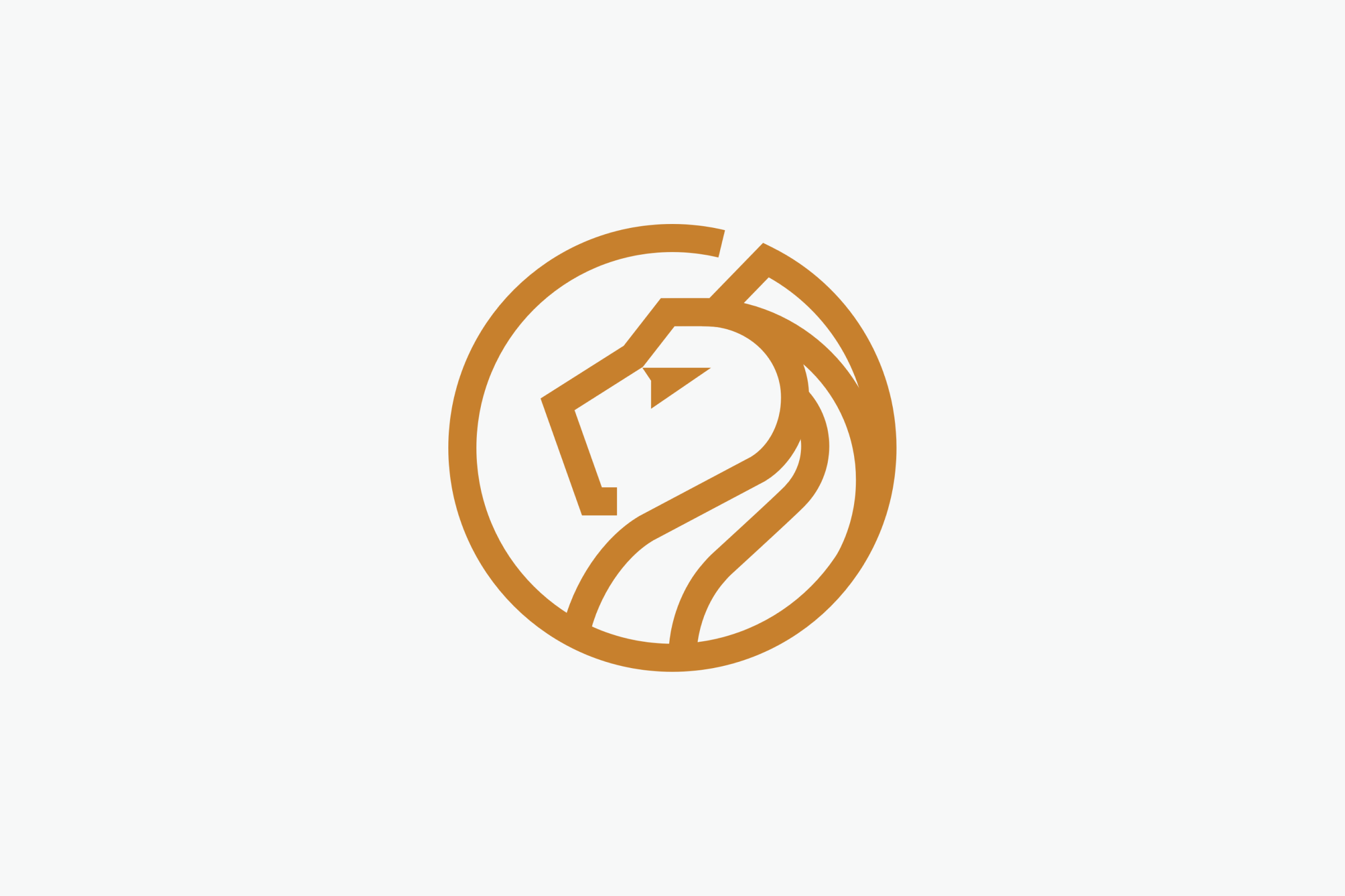 Lion Finance